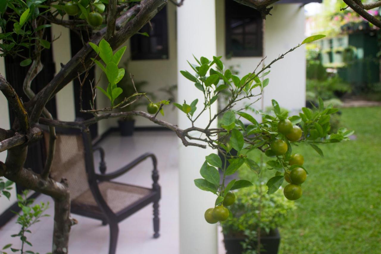 Airport Gateway Residence Negombo Exterior foto